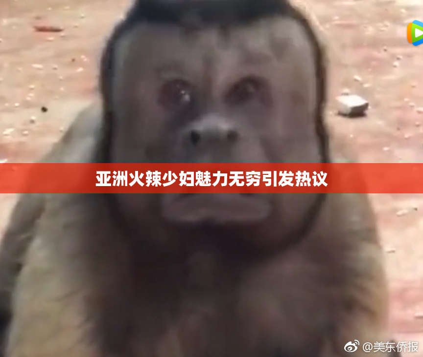亚洲火辣少妇魅力无穷引发热议