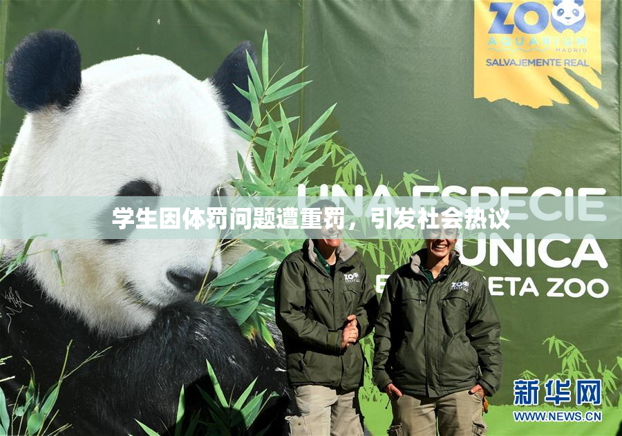 学生因体罚问题遭重罚，引发社会热议