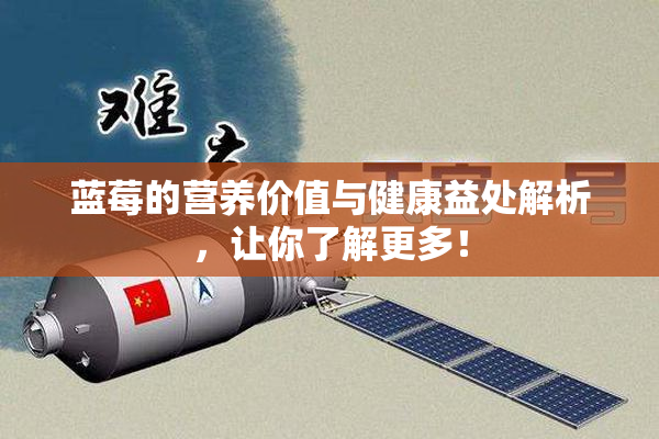 蓝莓的营养价值与健康益处解析，让你了解更多！