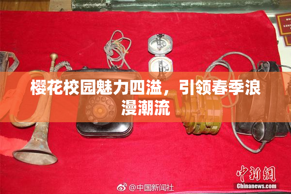 樱花校园魅力四溢，引领春季浪漫潮流