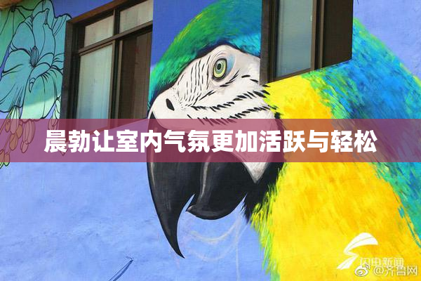 晨勃让室内气氛更加活跃与轻松