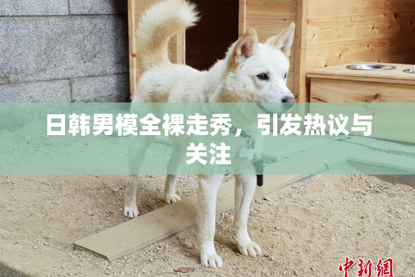 日韩男模全裸走秀，引发热议与关注