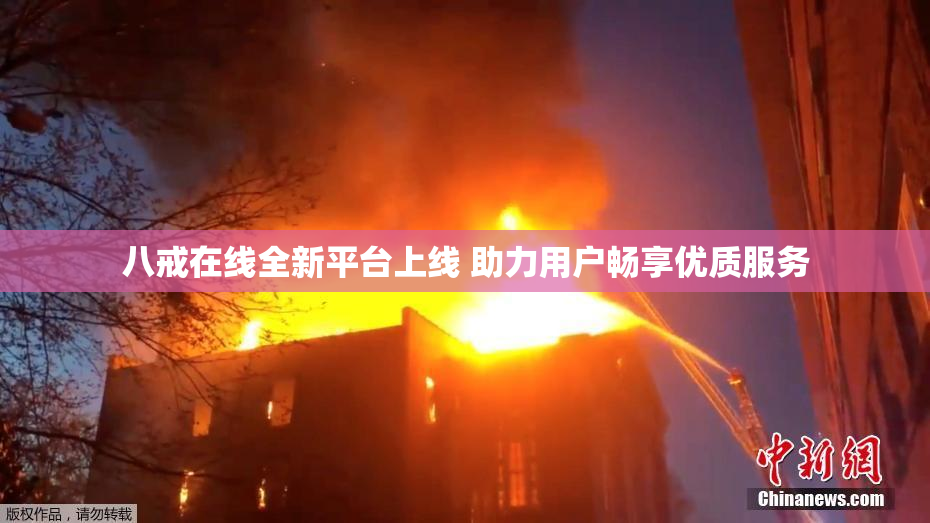 八戒在线全新平台上线 助力用户畅享优质服务