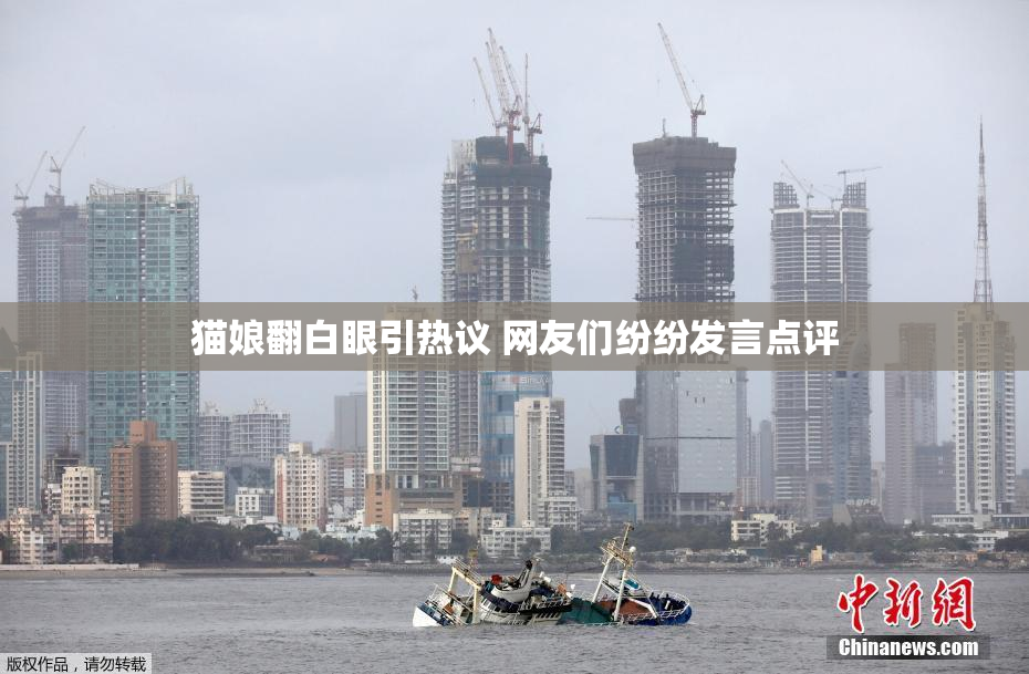 猫娘翻白眼引热议 网友们纷纷发言点评