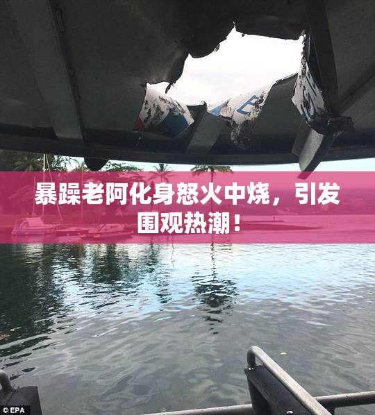 暴躁老阿化身怒火中烧，引发围观热潮！