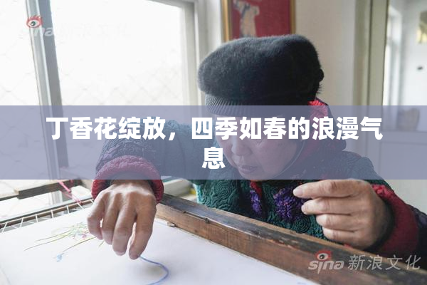 丁香花绽放，四季如春的浪漫气息