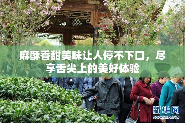 麻酥香甜美味让人停不下口，尽享舌尖上的美好体验