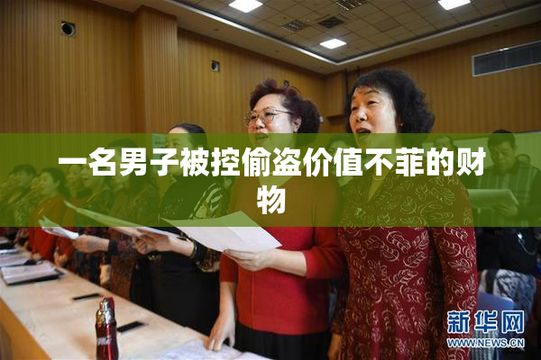 一名男子被控偷盗价值不菲的财物