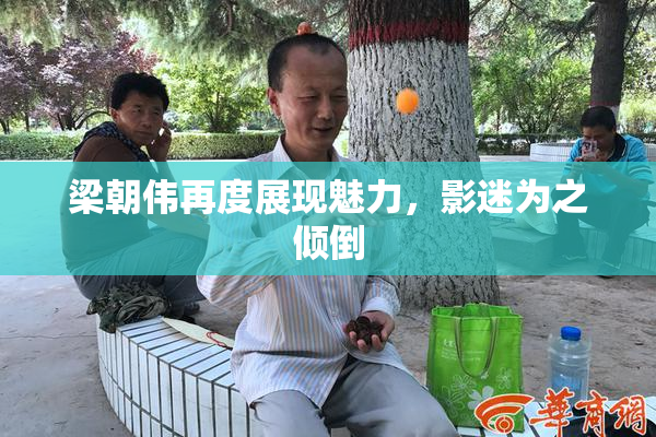 梁朝伟再度展现魅力，影迷为之倾倒