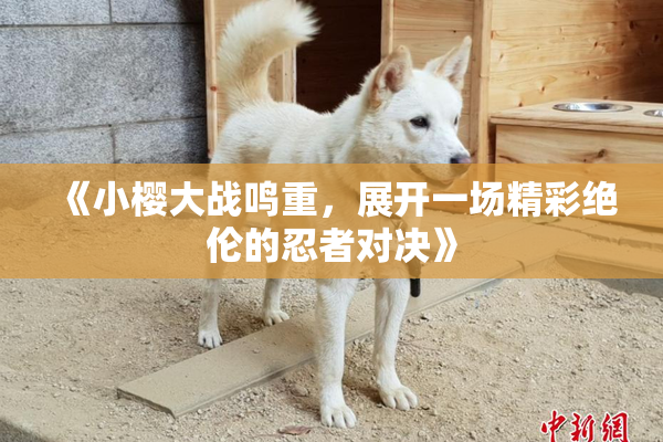 《小樱大战鸣重，展开一场精彩绝伦的忍者对决》