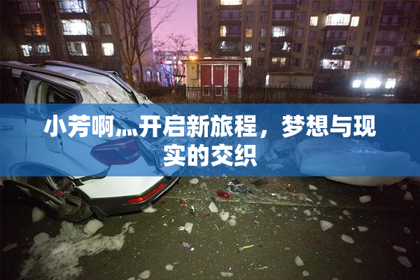 小芳啊灬开启新旅程，梦想与现实的交织
