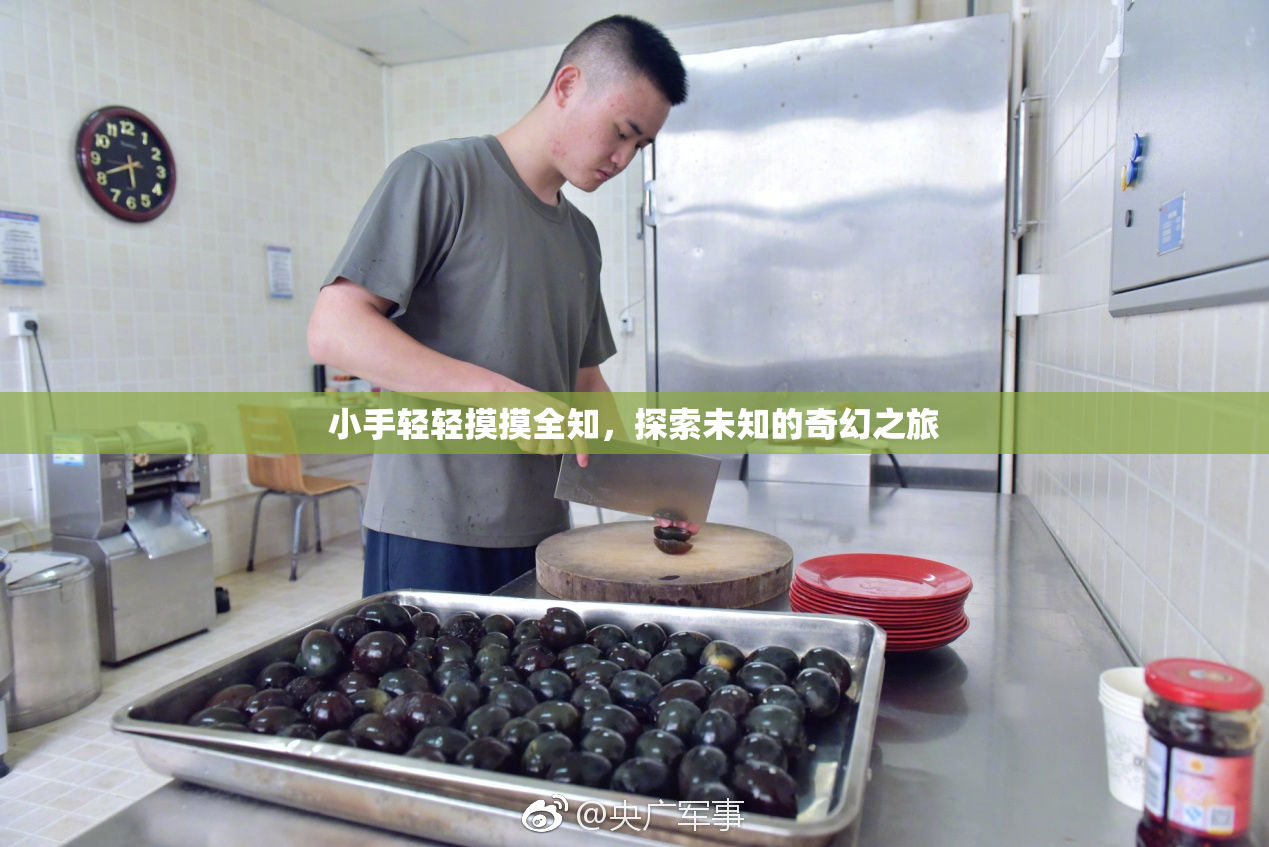 小手轻轻摸摸全知，探索未知的奇幻之旅