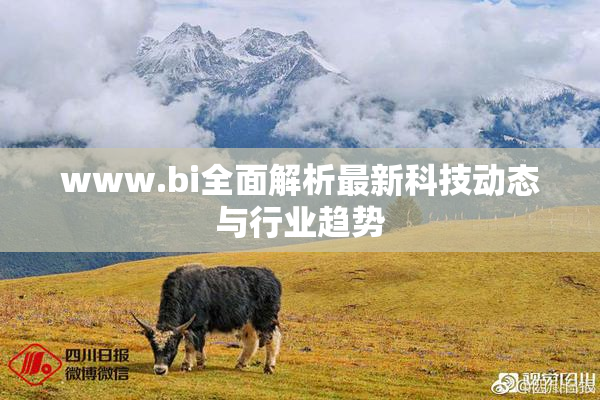 www.bi全面解析最新科技动态与行业趋势