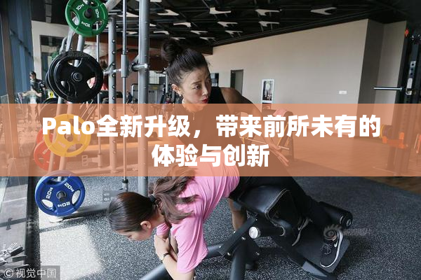 Palo全新升级，带来前所未有的体验与创新
