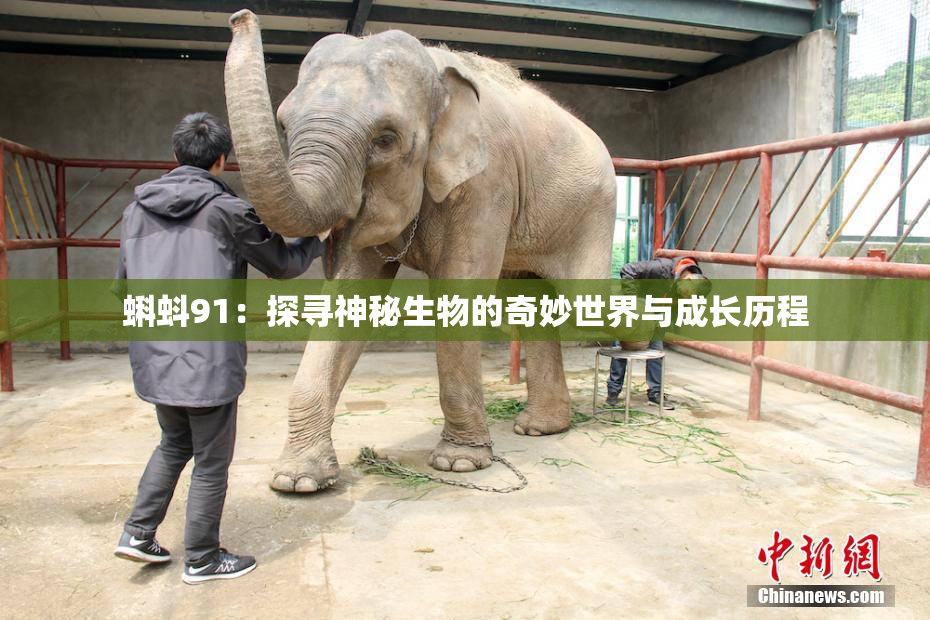 蝌蚪91：探寻神秘生物的奇妙世界与成长历程