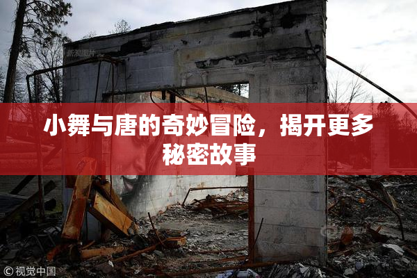 小舞与唐的奇妙冒险，揭开更多秘密故事