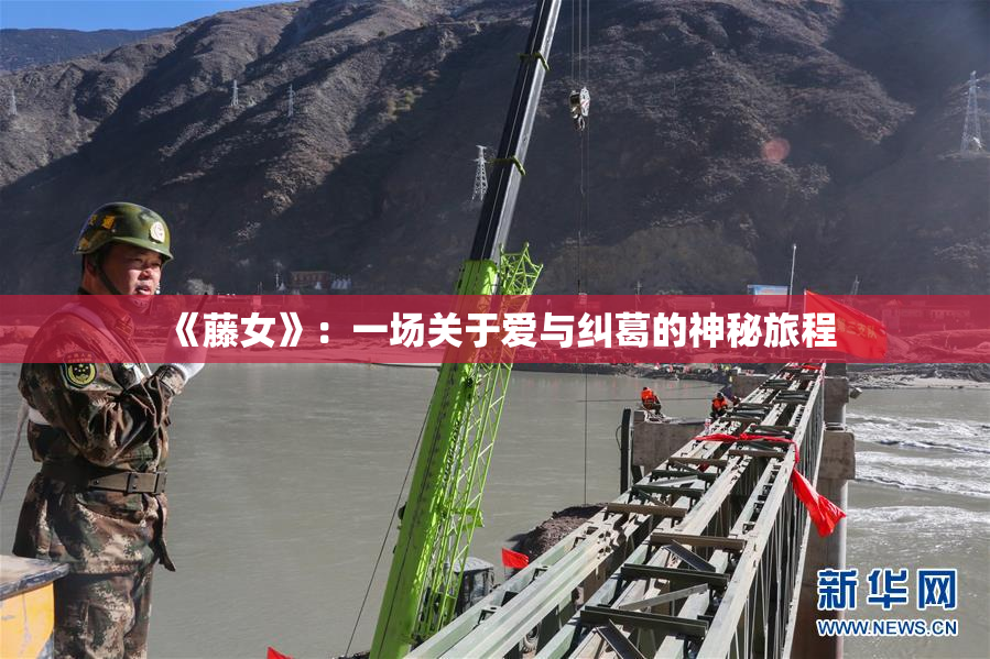 《藤女》：一场关于爱与纠葛的神秘旅程