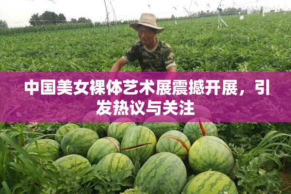 中国美女裸体艺术展震撼开展，引发热议与关注