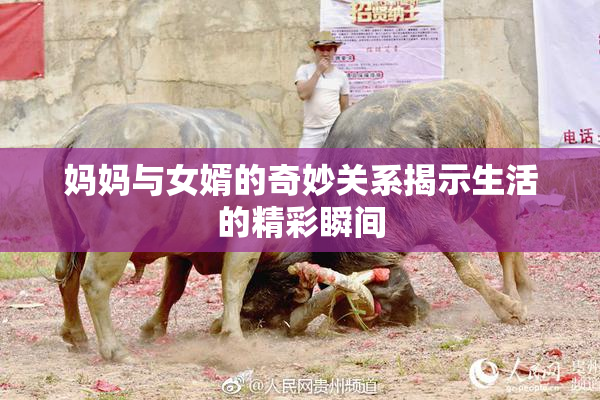 妈妈与女婿的奇妙关系揭示生活的精彩瞬间