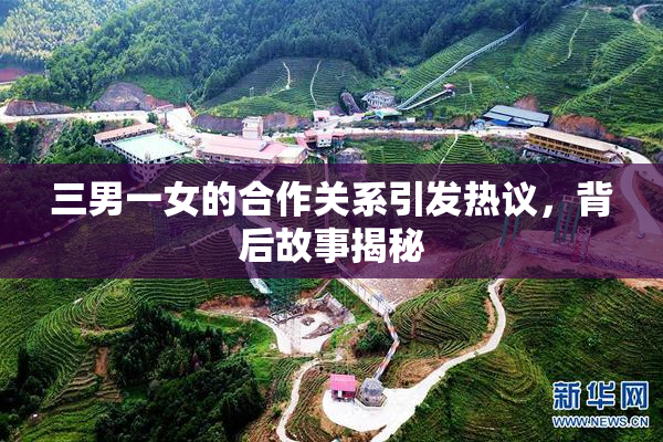 三男一女的合作关系引发热议，背后故事揭秘