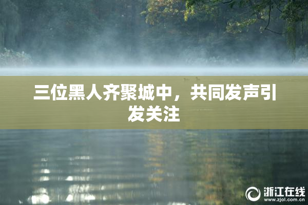 三位黑人齐聚城中，共同发声引发关注