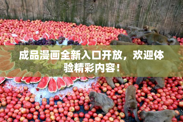 成品漫画全新入口开放，欢迎体验精彩内容！