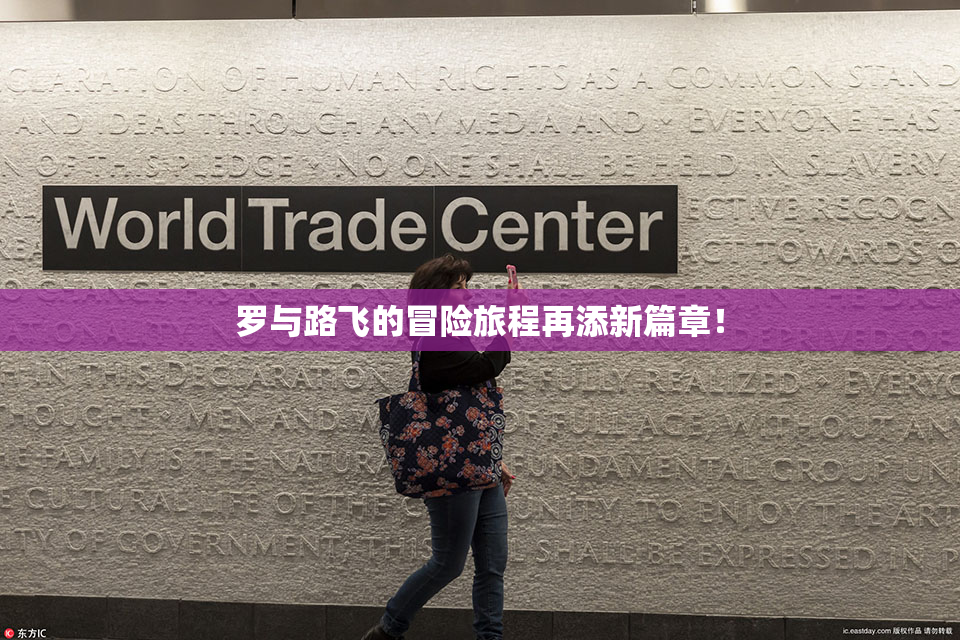 罗与路飞的冒险旅程再添新篇章！