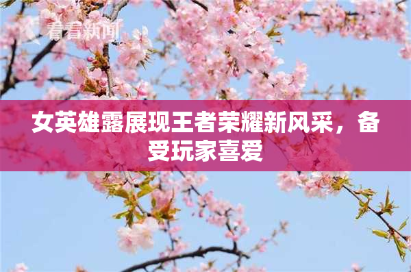 女英雄露展现王者荣耀新风采，备受玩家喜爱