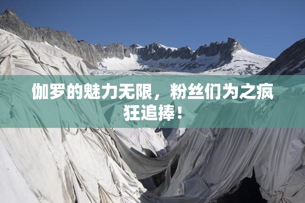 伽罗的魅力无限，粉丝们为之疯狂追捧！