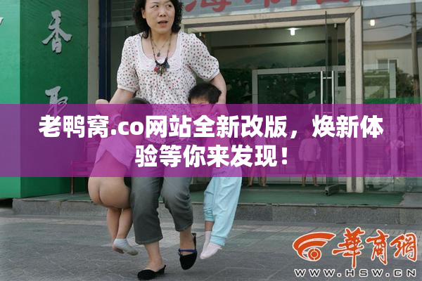 老鸭窝.co网站全新改版，焕新体验等你来发现！
