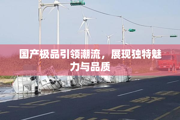 国产极品引领潮流，展现独特魅力与品质
