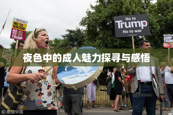 夜色中的成人魅力探寻与感悟