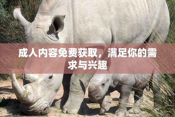 成人内容免费获取，满足你的需求与兴趣