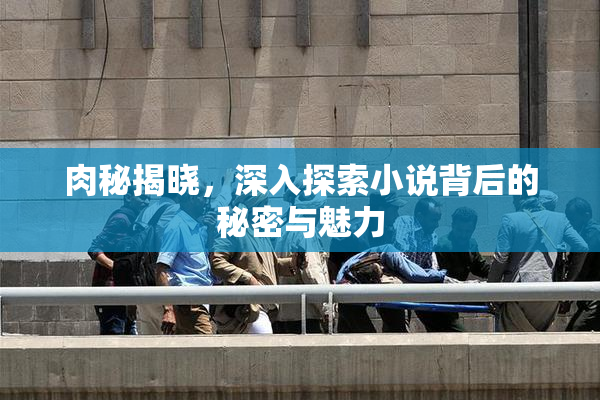 肉秘揭晓，深入探索小说背后的秘密与魅力