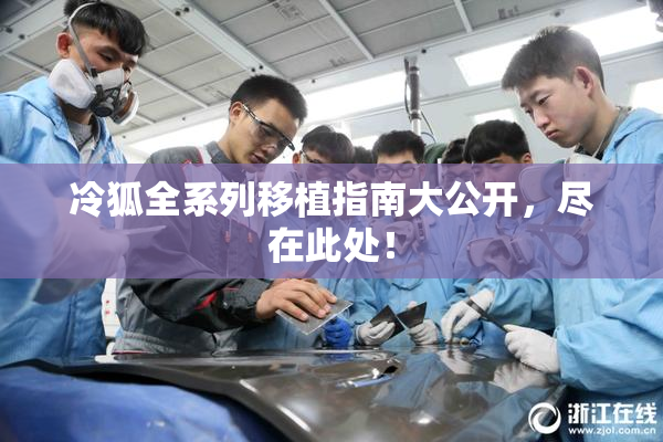 冷狐全系列移植指南大公开，尽在此处！