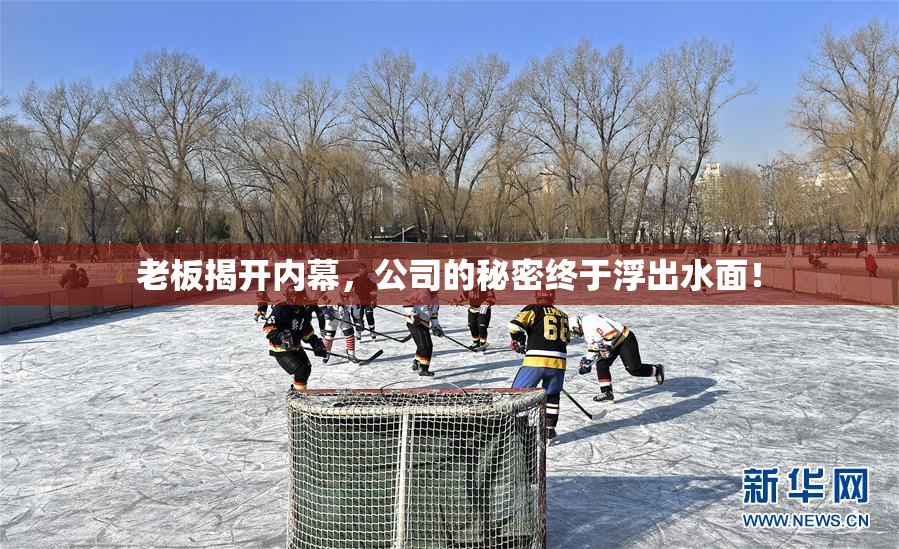 老板揭开内幕，公司的秘密终于浮出水面！