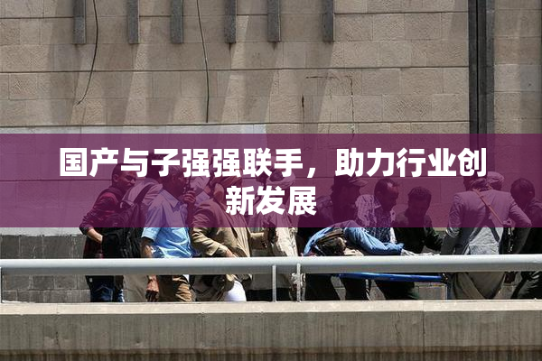 国产与子强强联手，助力行业创新发展