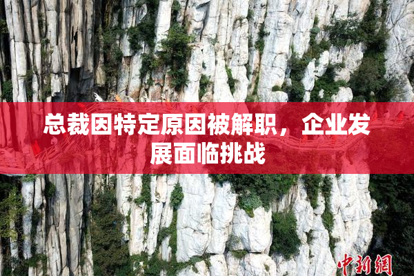 总裁因特定原因被解职，企业发展面临挑战