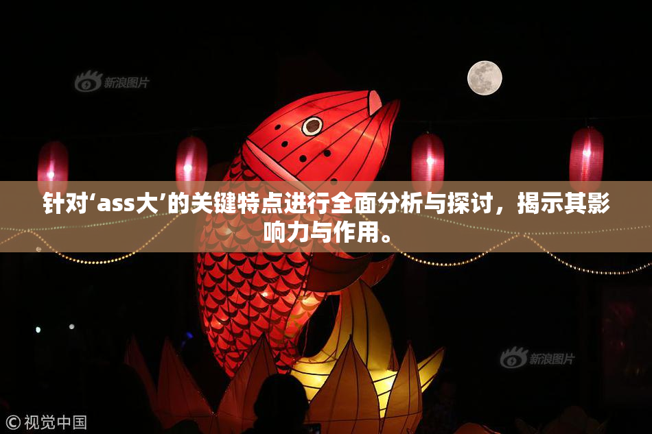 针对‘ass大’的关键特点进行全面分析与探讨，揭示其影响力与作用。