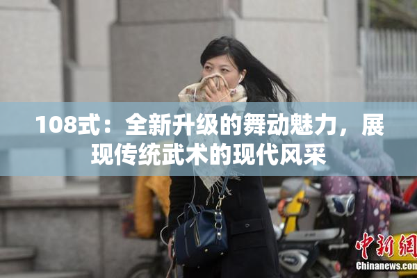 108式：全新升级的舞动魅力，展现传统武术的现代风采