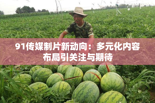 91传媒制片新动向：多元化内容布局引关注与期待