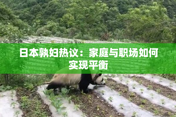 日本孰妇热议：家庭与职场如何实现平衡