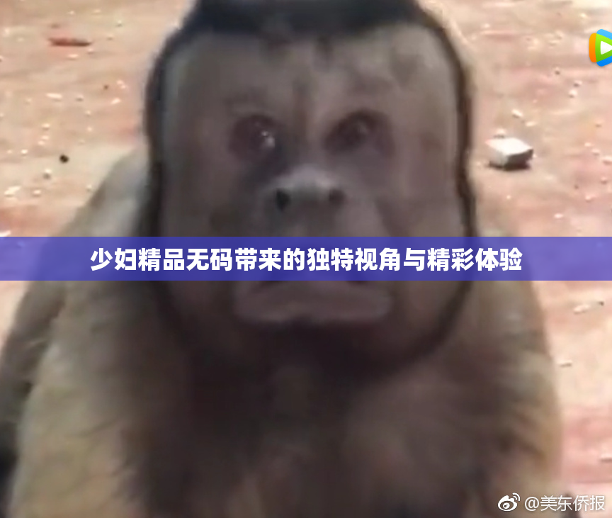 少妇精品无码带来的独特视角与精彩体验