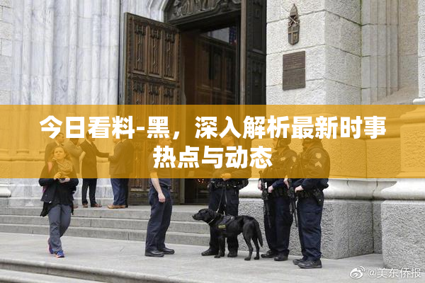 今日看料-黑，深入解析最新时事热点与动态
