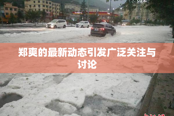 郑爽的最新动态引发广泛关注与讨论
