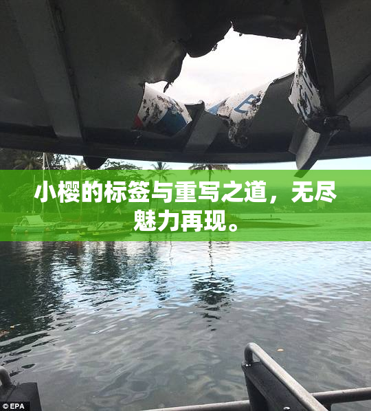 小樱的标签与重写之道，无尽魅力再现。