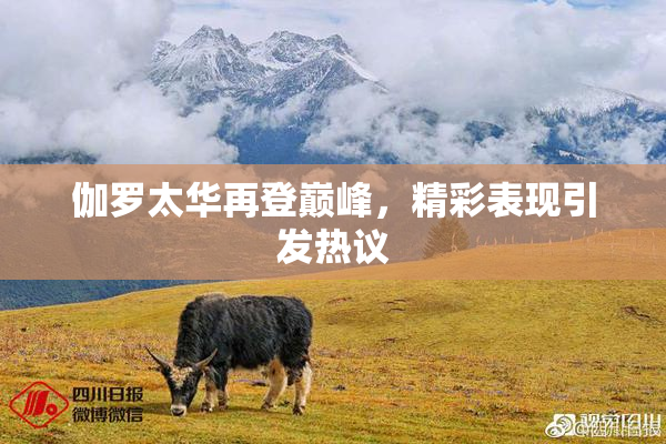 伽罗太华再登巅峰，精彩表现引发热议