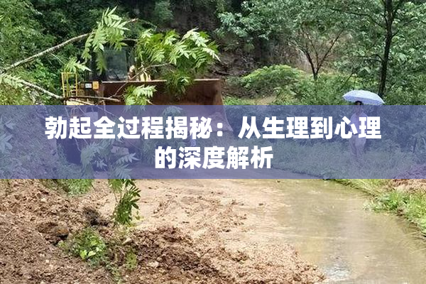 勃起全过程揭秘：从生理到心理的深度解析