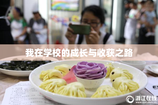我在学校的成长与收获之路