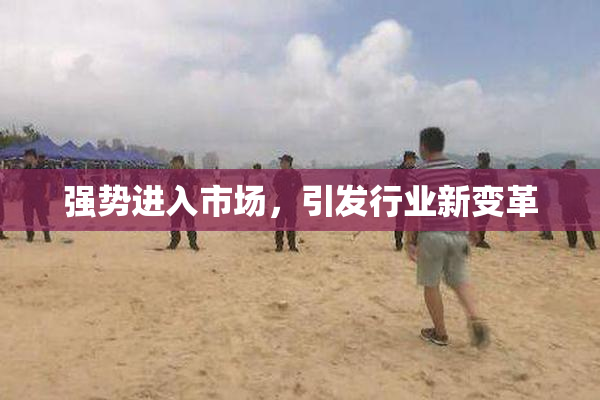 强势进入市场，引发行业新变革